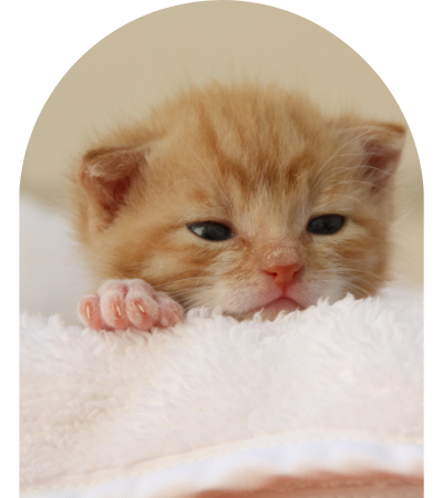 Design sans titre (13)