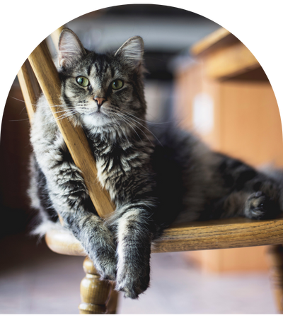 Design sans titre (4)