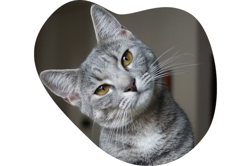 Design sans titre (7)